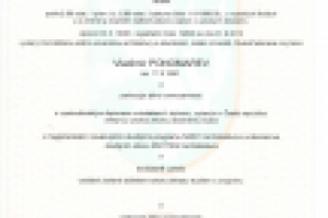 Работа 2116004