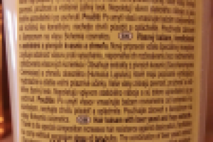 Работа 2110090