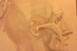 Работа 2110027