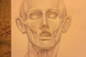 Работа 2110026