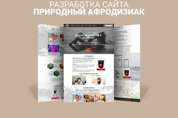 img3556523.png