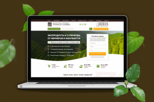 Оптовые продажи