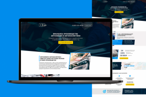 Франшиза автохимии