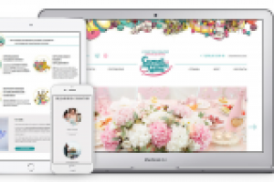 Работа 3031578