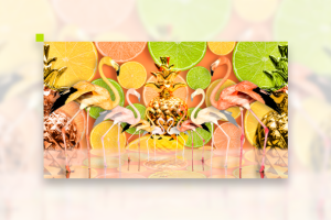 Collage all inclusive