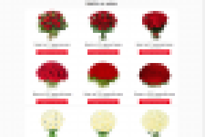 Лендинг пейдж «Доставка цветов».