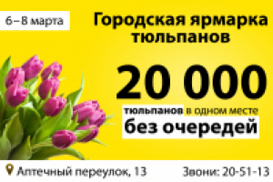 Баннер №1 «Городская ярмарка тюльпанов».