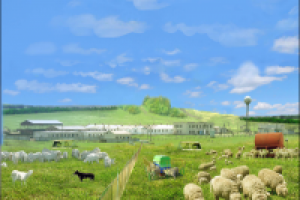 Диплом по педагогике (биологич. мышление школьников)