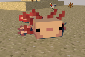 Axolotl Minecraft model