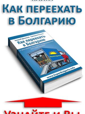 img3344948.png