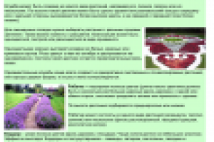 Цветники в ландшафтном дизайне