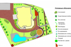 Схема озеленения участка