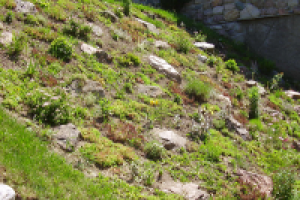 Рокарий на склоне