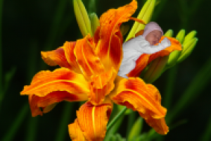 Дюймовочка