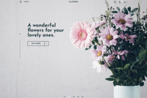 Концепт интернет-магазина цветов