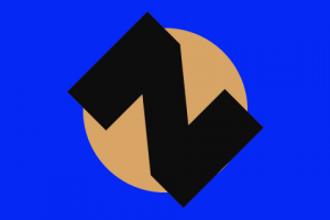 Логотип для онлайн-магазина Нуртазиной Жамили