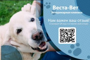 Ветклиника