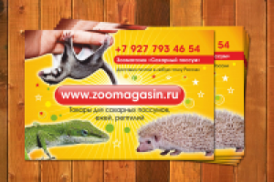 Флаер для зоомагазина