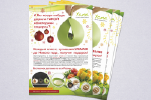 Листовка Yana