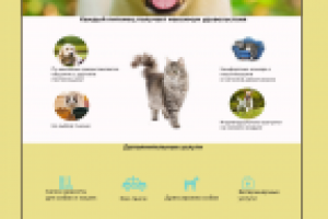 Гостиница для животных