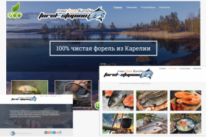 Работа 4168005