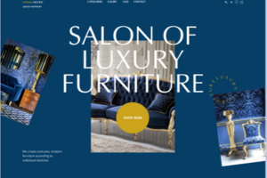 Лендинг Salon of luxury furniture