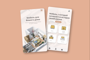 Мебельный магазин (на русс. языке)