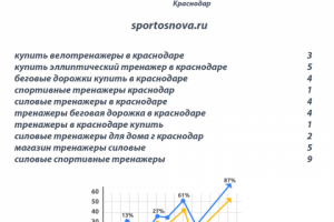 Продвижение интернет-магазина спортивных товаров