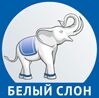img2381616.png