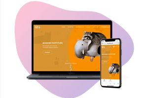 Разработка интернет магазина по продаже домиков для домашних пит