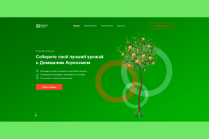 Целевая страница Домашний агроном