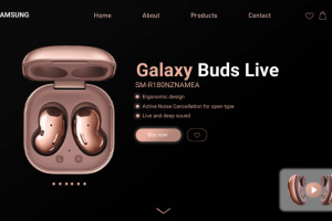 Galaxy buds live