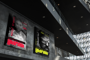 Афиши фестиваля электронной музыки "Лабиринт"