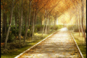 Оздоровительный комплекс "Восток"