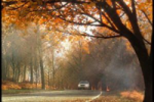 Оздоровительный комплекс "Восток"