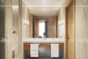 3д визуализация и дизайн отеля  "Сосны" ванная