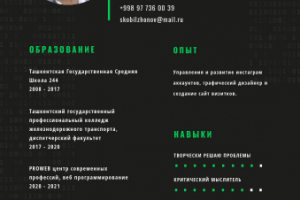 Работа 4165953