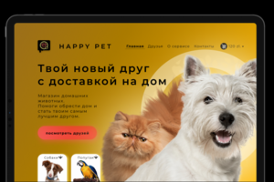 Web Дизайн первой страницы