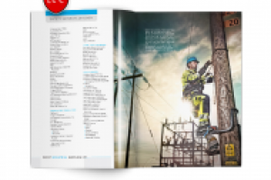 Каталог продукции компании «Brent»