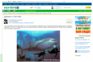 Дайвинг в Паттайе