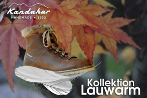 Работа 3245830