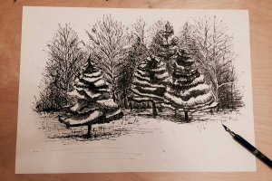 Работа 3232596