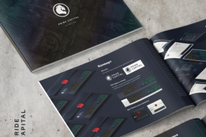 Gideline фирменного стиля "Pride capital"