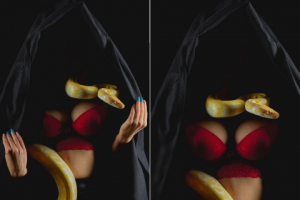 Работа 4158670