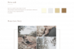 onlin wedding invitation