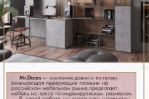 Работа 3679481