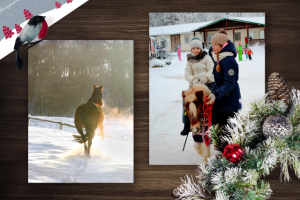 Работа 3251779