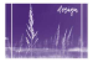 фото, ретушь, коллаж