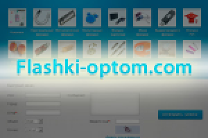 Программирование сайта "Флешки оптом"