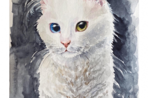 Акварельный кот